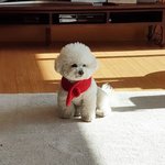 [댓글부탁해] 캐리어에 숏패딩 넣는거 에<b>바야</b>?