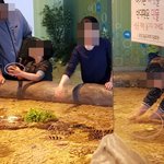 [이것좀봐줘] <b>포항</b> 구룡포 과메기 문화관 터치풀 물고기 학대 관련...