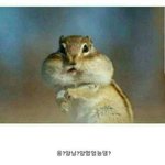 [댓글부탁해] 야 <b>엄마지갑</b>에 몰래