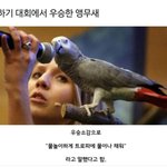 나 아빠랑 <b>역할</b>이 바뀐것같아