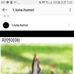 [이것좀봐줘] 다람쥐가 <b>돈까스</b>로 보임