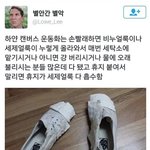 [댓글부탁해] <b>에코</b>백 예쁜거 어디임