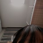 왜ㅋㅋㅋㅋ 노세범 보다 밀가루가 더 좋냐...??