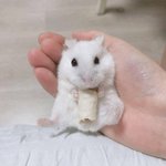 나 고1<b>증사</b> ㅏ망한듯