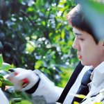 [EXO] 이거 ㄹㅇ <b>씨</b>엪 속 <b>한</b>장면 같음