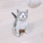 [댓글부탁해] <b>사투리</b> 쓰는 애들 어때??ㅠㅠ