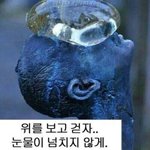 너네 만약자식낳는다면 자식을 위해서