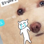 [방탄소년단] 잠오는 분 인별에 슥<b>찌</b>