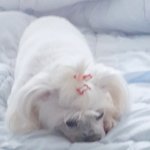 강릉<b>놀러</b>가는데 장소 추천해주라