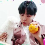 [세븐틴] 뿌<b>천지</b>