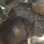 [NCT] ㅅㄷ)친구랑 정우<b>쿼</b><b>카</b>얘기하거 있는뎈ㅋㅋㅋㅋ