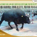 수학 선행 많이 중요해??