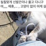 [댓글부탁해] 나 <b>존버</b> 중인 거 개많음여