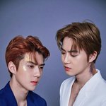 [EXO] 엑소얼굴 보이는대로 이미지 (개인적생각)