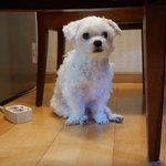 [댓글부탁해] 나 입술 두꺼운편이야???