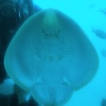 [댓글부탁해] 나 첨으로 방탄 뷔 그려봄