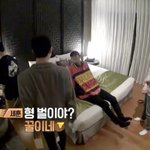 [EXO] 벌이야? 꿀이네