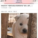 [드루와] 내친구들 대학 조카 잘갔음...