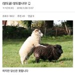 [댓글부탁해] (<b>양도</b>글) <b>양도</b>합니다.