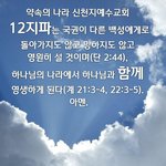 빠른 봄소식