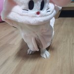 [EXO] 케럴리스케럴리스