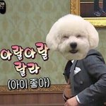 얘들아 내일이 무슨날인줄 알아?!!?!?!