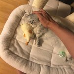 [댓글부탁해] 고2 고3들아  너네 수학 <b>풀때</b> 답지 봄??