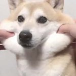 이거 판녀들 볼쨜