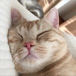 3시간 뒤에 반<b>배정</b>뜸