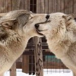 [BL] 해피엔딩이 좋아 <b>새드</b>엔딩이 좋아?