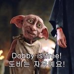 라면 뭐먹을지 골라<b>주</b><b>셈</b>