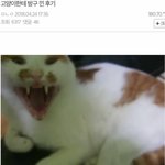 여자들 <b>시선</b>강간 좀 작작하면안돼???