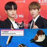 이 <b>참새</b>인형 너무 갖고싶어