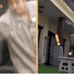 [EXO] 애들 개인기 생김