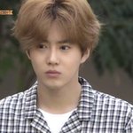 [EXO] 준면이 머리 <b>복실</b>복실