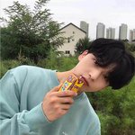 <b>소주</b> 무슨 맛으로 먹는 거임