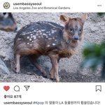 [NCT] 헐 주한미국<b>대사관</b> 인스타에 푸두 해찬