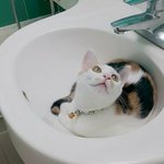 [댓글부탁해] 이렇게 말하는거 어때?