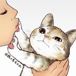 [댓글부탁해] 이 사진 <b>홍원</b>이랑 나야