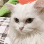 얘들아 나 진짜 힘들어..