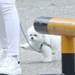 [댓글부탁해] 꿈도 없고 하고 싶은것도 없어