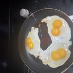 [이것좀봐줘] 처음격는... 쌍ㄹ....