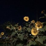 공부 잘하게 생겼다는게