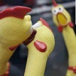 [댓글부탁해] 얘<b>두라</b> 생일 중에 몇월이 제일 많음..?