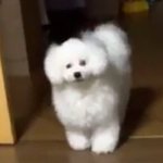 [댓글부탁해] 새<b>학기</b> 스트레스 진짜 짜증난다ㅜ