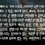 마태복음 8장이 무슨 뜻이지?