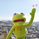 [드루와] 안자는 <b>색히</b>들 들어와바 생존신고 좀 하게