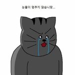 나 성인돼서 연애할수있을까 ㅠㅠ