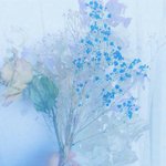 [댓글부탁해] <b>졸업식</b>때 꽃다발 보통언제받아?