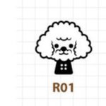 [댓글부탁해] 제발 도와줘ㅠㅠㅜㅜ누가 <b>비숑</b>이야???